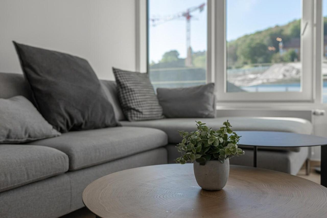 L'Estrade Appartement Annecy Ngoại thất bức ảnh